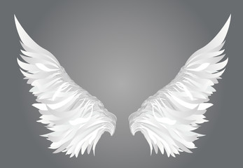 Fototapeta premium Wings. Vector illustration on white background. Black and white style 