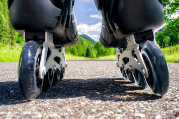 Fototapety na wymiar - Fototapeta24.pl