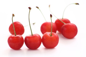 さくらんぼ　チェリー　佐藤錦　白背景
