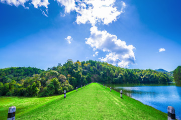 Green grass pathway through a mountain beside the river