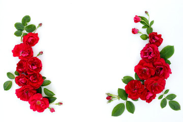 Frame of red roses on a white background with space for text.