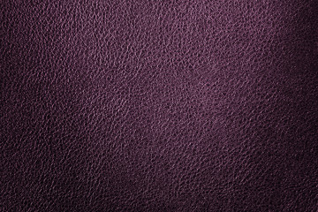 Leather texture background for fashion, furniture or interior concept design.