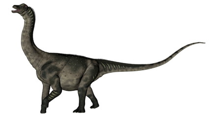 Antarctosaurus dinosaur - 3D render