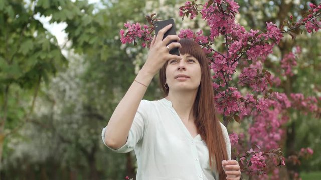 Girl makes selfie in the garden. An attractive red-haired woman smiles making selfi using a mobile phone in a cherry orchard. The concept of using gadgets for a healthy lifestyle.