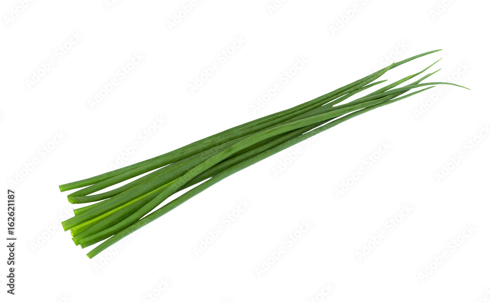 Canvas Prints Green onion herb. Fresh onion. Chives bunch.