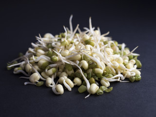Fresh mung bean sprouts isolated on black background