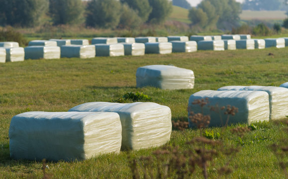 plastic wrapped hay bales