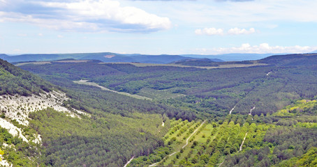 Fototapeta na wymiar Landscape with a green valley in summer
