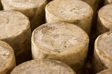 Many cylinders of cheese