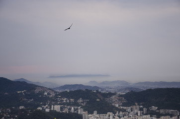 Fototapeta na wymiar Brasilien - Rio de Janeiro