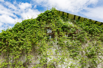 Facade of an old destroyed house unfit for living
