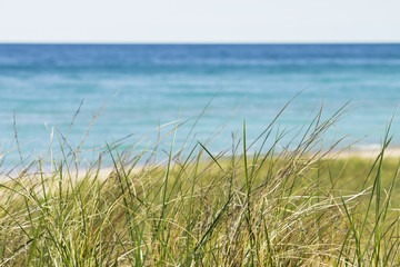Aqua blur waters in warm summer michigan with dune grass and path leading to the water.  Alone and peaceful quiet waves lapping on shore.  Copyspace. - Powered by Adobe