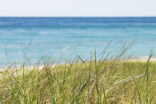 Aqua blur waters in warm summer michigan with dune grass and path leading to the water.  Alone and peaceful quiet waves lapping on shore.  Copyspace.