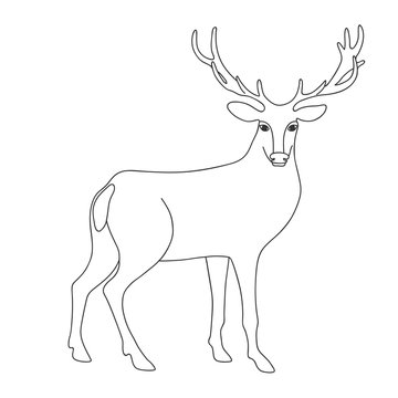 Free Vector  Hand drawn deer outline