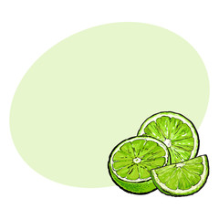 Unpeeled green lime halves and pieces, hand drawn sketch style vector illustration with space for text. Hand drawing of unpeeled lime, half, quarter, side view