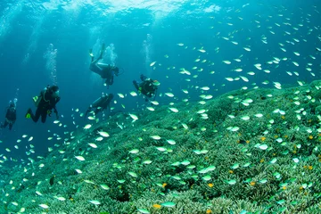 Photo sur Plexiglas Plonger KHAO LAK, THAILAND - MARCH 1: Coral, fish and Group of Scuba Divers underwater in Similan Islands, Thailand on March 1, 2009. Similan Islands are Thailand's premier dive destination.