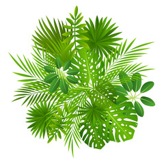 Tropical leaves isolated on white