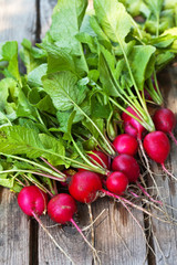 Red root vegetables of a young radish on a wooden background