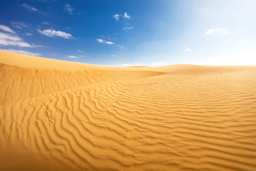 desert landscape with a blue sky