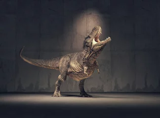Afwasbaar Fotobehang Jongenskamer dinosaurus