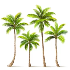 Poster Palm Trees Set. Vector © Pasko Maksim 