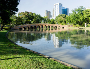 CHATUCHAK PARK, Beautiful public park in Bangkok Thailand.