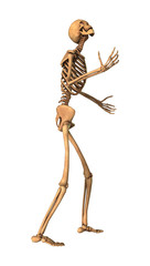 3D Rendering Human Skeleton on White