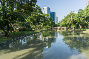 Fototapeta premium CHATUCHAK PARK, large public park in Bangkok Thailand for relaxing and doing activities.