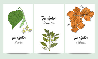 Vertical vector banners of hand drawn tea collection. Linden, green tea, hibiscus. An idea for design, invitation, save the date card.