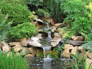 lovely pond with waterfall water garden nature park lanscape rock forest