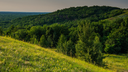 Fototapeta premium Meadow sky and forest