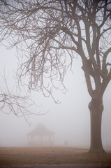 Gazebo and trees in foggy morning in park.