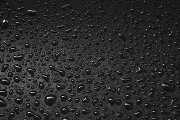 abstract water drops on a white background