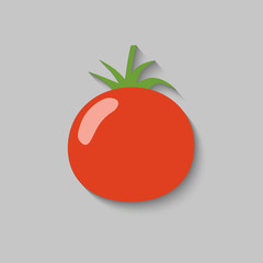 Tomato vector illustration. Flat design