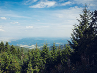 Beautiful view with pines on green mountain and magnificent cloudy sky. Vitosha mountain, Sofia, Bulgaria.
