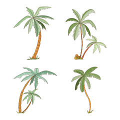 Hand drawn tropical palm trees set.
