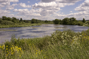 Знойный день  на речке. Пойменные луга.