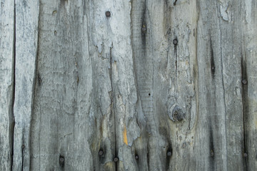 Texture background. Old wood boards 