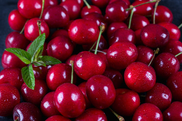 Sweet cherries  With mint leaves as a background  