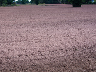 Prepare Soil Before Planting © wichatsurin