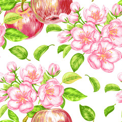 Vector seamless pattern with apple blossom.