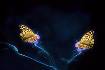 Artistic fantasy photo of butterflies on flowers. Dark photo. Lots of free space.

