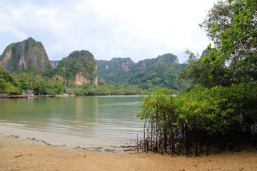 Travel to Krabi, Thailand. The view on the Railay Beach with the mangrove forest, a sea and mountains.
