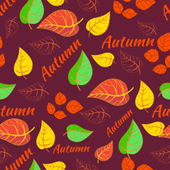 Autumn pattern. Seamless background