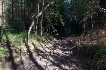 A spring landscape on the hills 