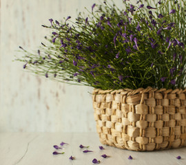 Still-life with flowers