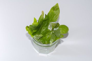 Basilikum Blätter in Glas auf weissem Hintergrund
