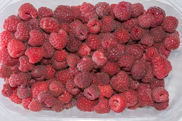 Himbeeren frisch in Schale