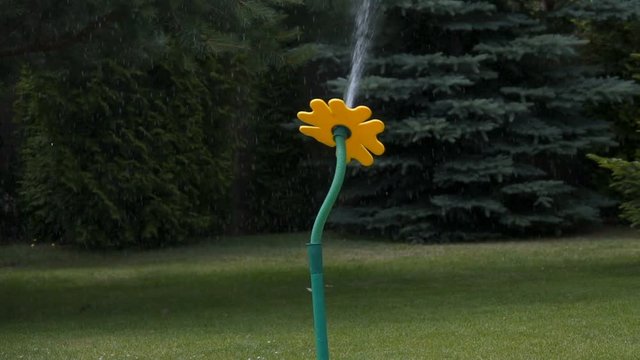 Daisy garden hose randomly spraying water in every direction slow motion