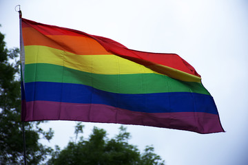 LGBT flag